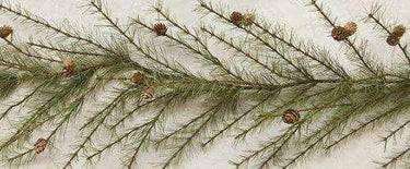Cypress Pine Garland - 6ft - The Fox Decor